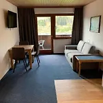Appartementhaus Seehof Apartment Kirchberg in Tirol