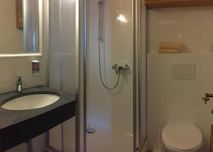 Lejlighed Appartementhaus Seehof Kirchberg in Tirol